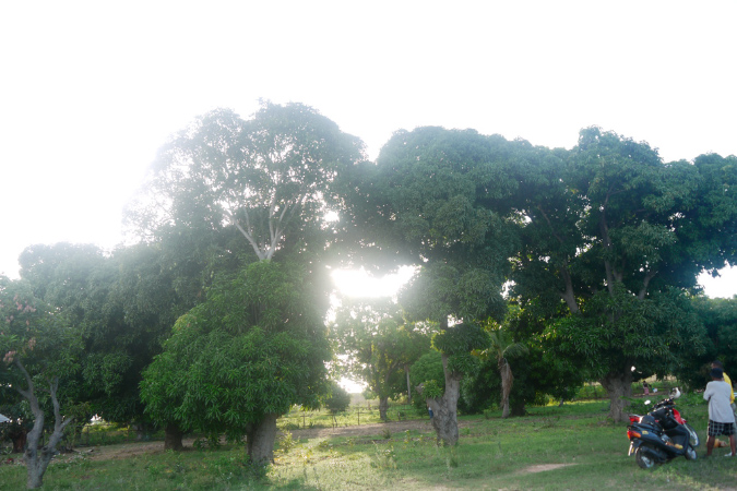 Mada_2012_090