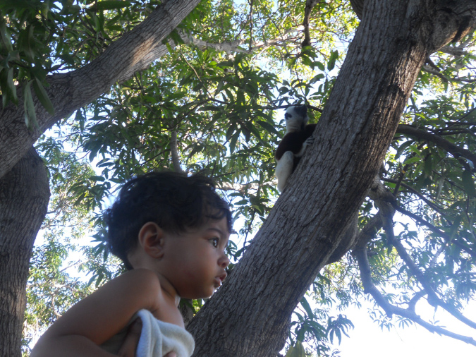 Mada_2012_240