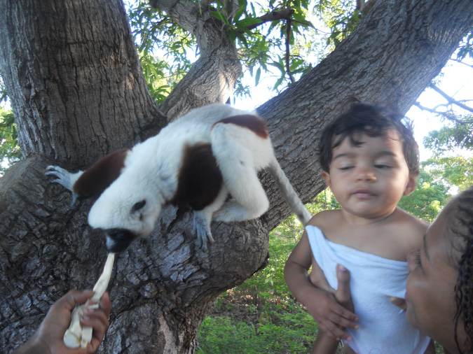 Mada_2012_246