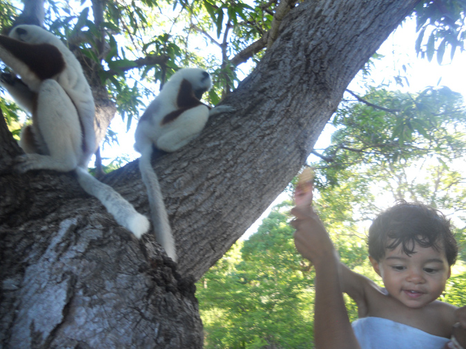 Mada_2012_249