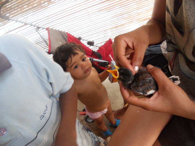 Mada_2012_266