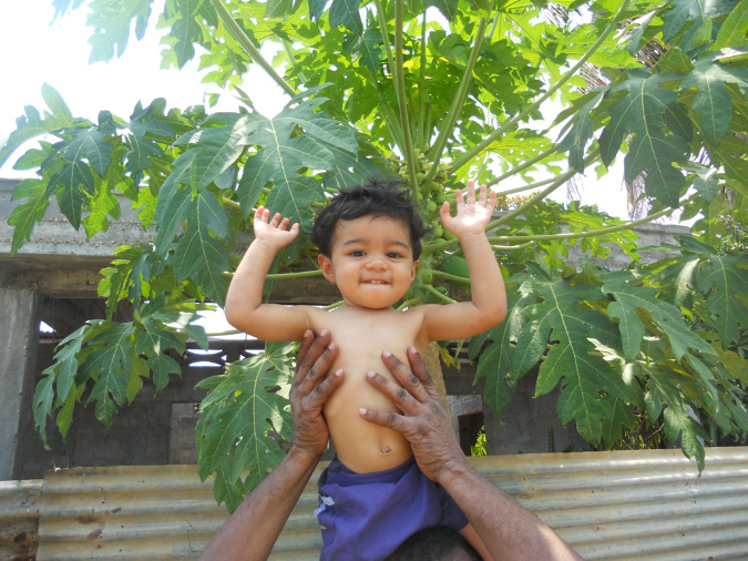 Mada_2012_297