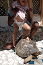 Mada_2012_007