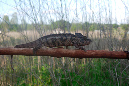 Mada_2012_094