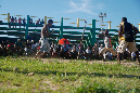 Mada_2012_146
