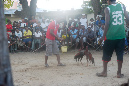 Mada_2012_155