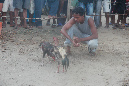 Mada_2012_162