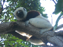 Mada_2012_237