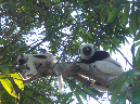 Mada_2012_239