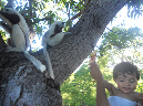 Mada_2012_249