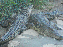 Mada_2012_260