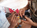Mada_2012_265