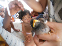 Mada_2012_268