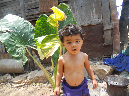 Mada_2012_299