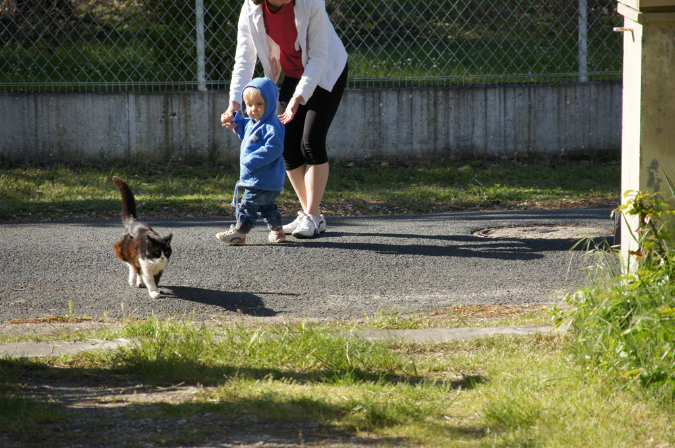 Ronce_mai_2012_269