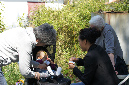 Ronce_mai_2012_039