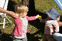 Ronce_mai_2012_158