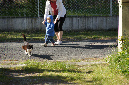 Ronce_mai_2012_269
