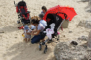 Ronce_mai_2012_296