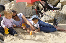 Ronce_mai_2012_314