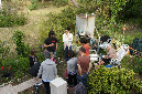 Ronce_mai_2012_323