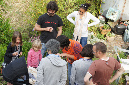 Ronce_mai_2012_324