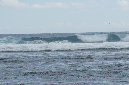 Reunion_juillet_2012_123