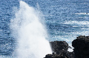 Reunion_juillet_2012_197