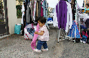Ronce_aout_2012_042