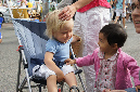 Ronce_aout_2012_058