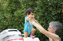 Ronce_aout_2012_077