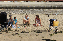 Ronce_aout_2012_079%20-%20Copie