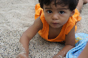 26_dec_2012_005