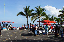 30_dec_2012_03