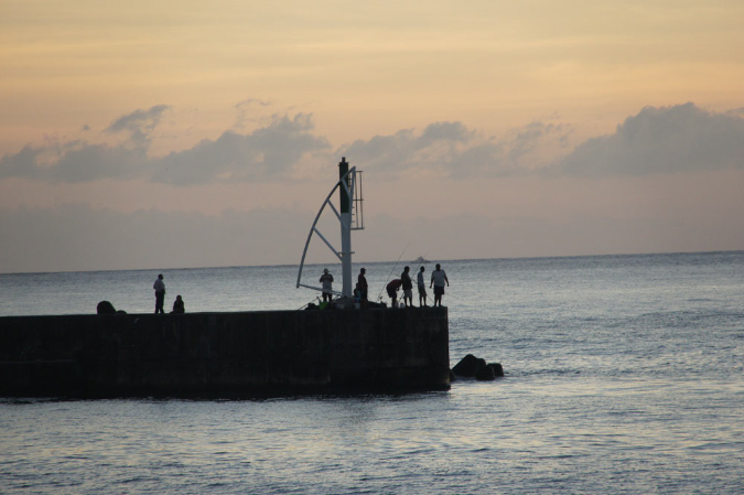 reun_fevrier_2012_04