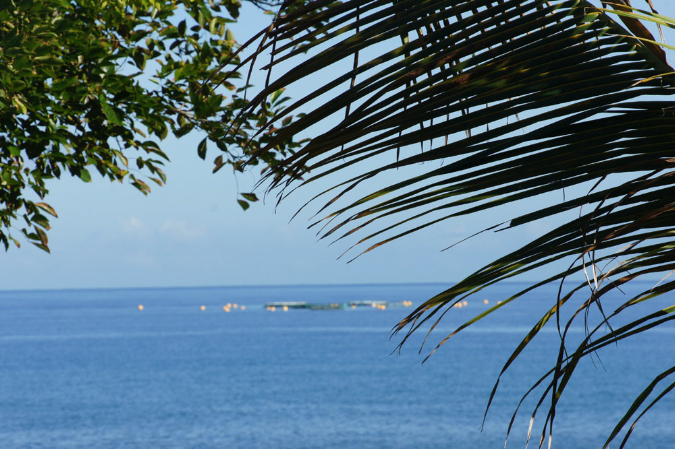 reun_fevrier_2012_43