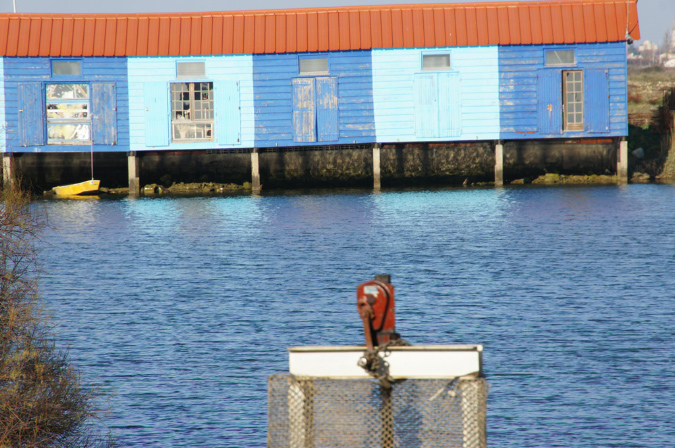 14_janv_2012_01