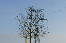 15_janv_2012_08