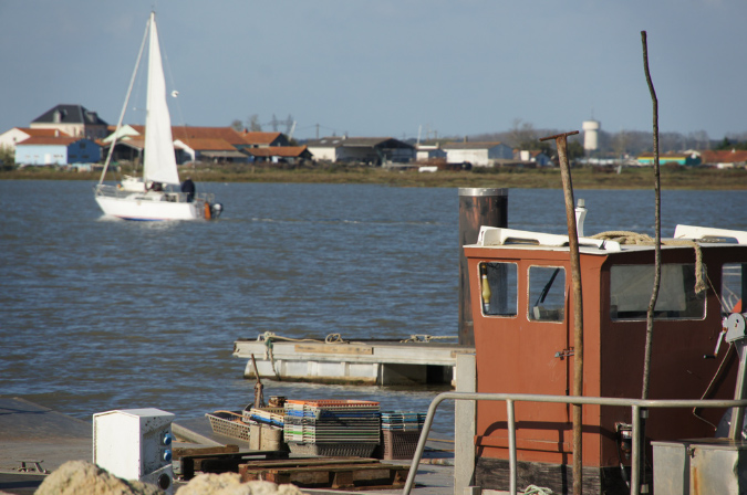 Ronce_octobre_2012_31
