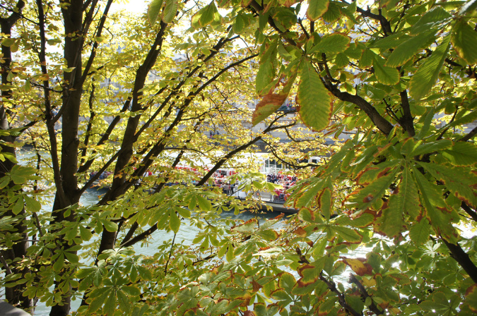 15_septembre_2012_42
