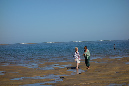 21_aout_2013_21