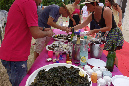 18_aout_2013_053