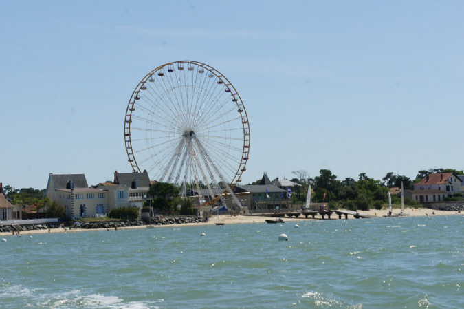 Ronce_juillet_2013_002