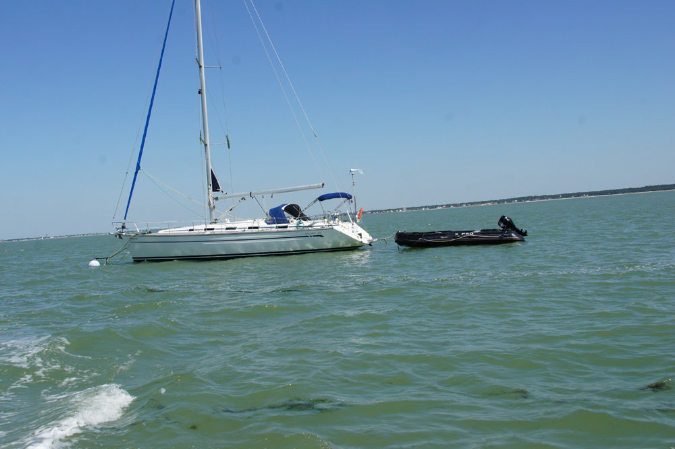 Ronce_juillet_2013_010