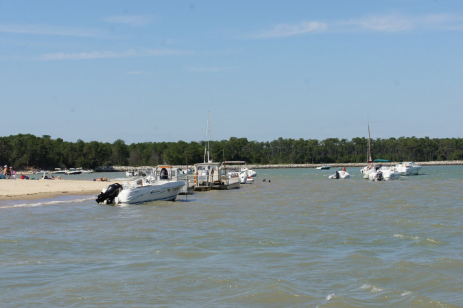 Ronce_juillet_2013_011