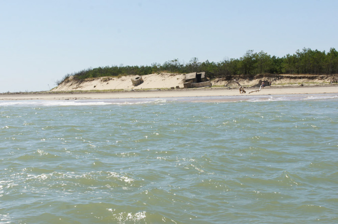 Ronce_juillet_2013_014