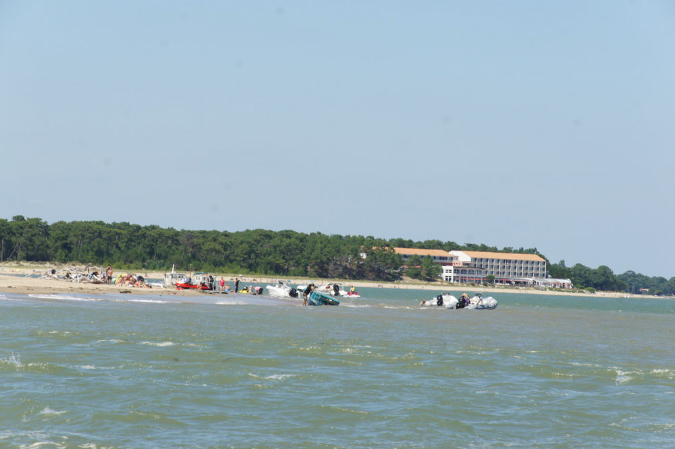 Ronce_juillet_2013_015