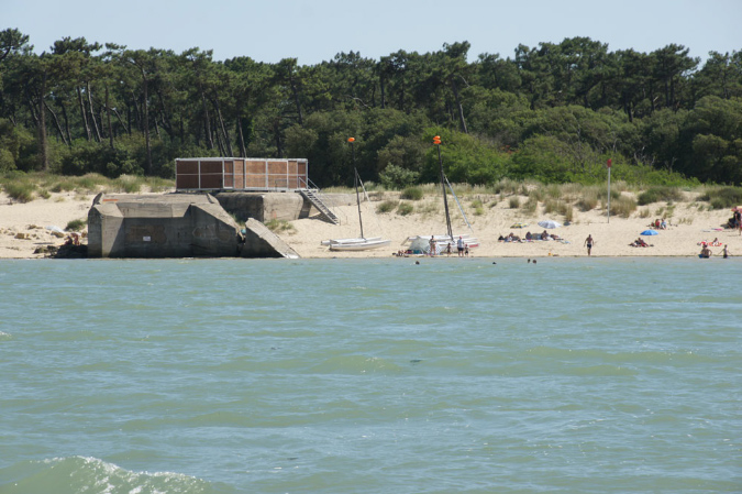 Ronce_juillet_2013_018