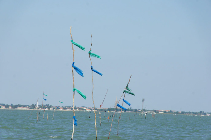 Ronce_juillet_2013_023