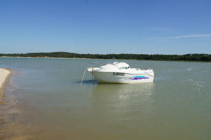 Ronce_juillet_2013_028